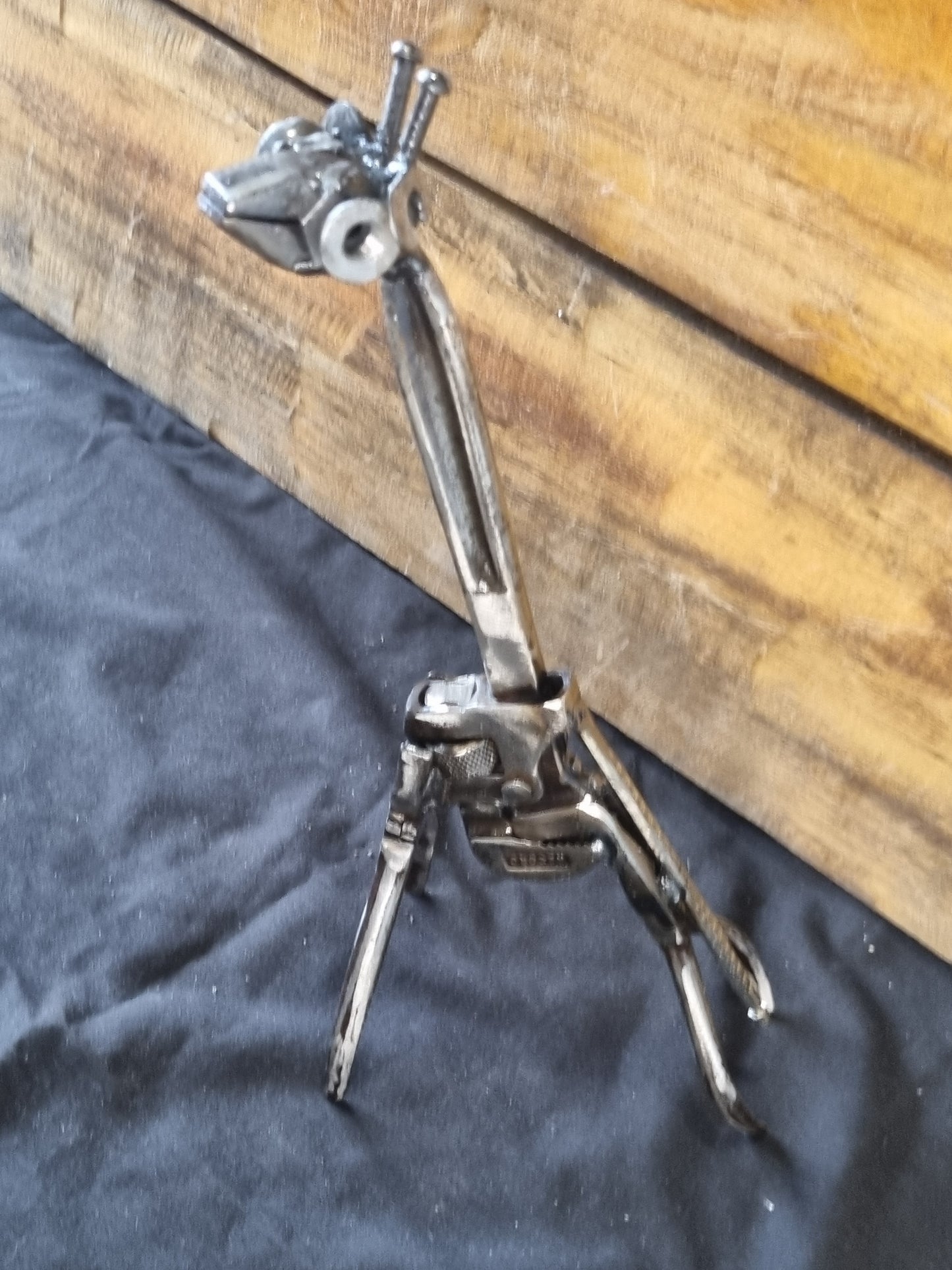Small Giraffe