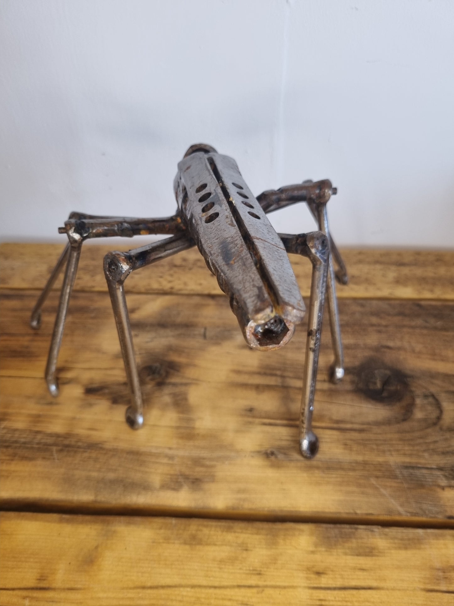 Mosquito