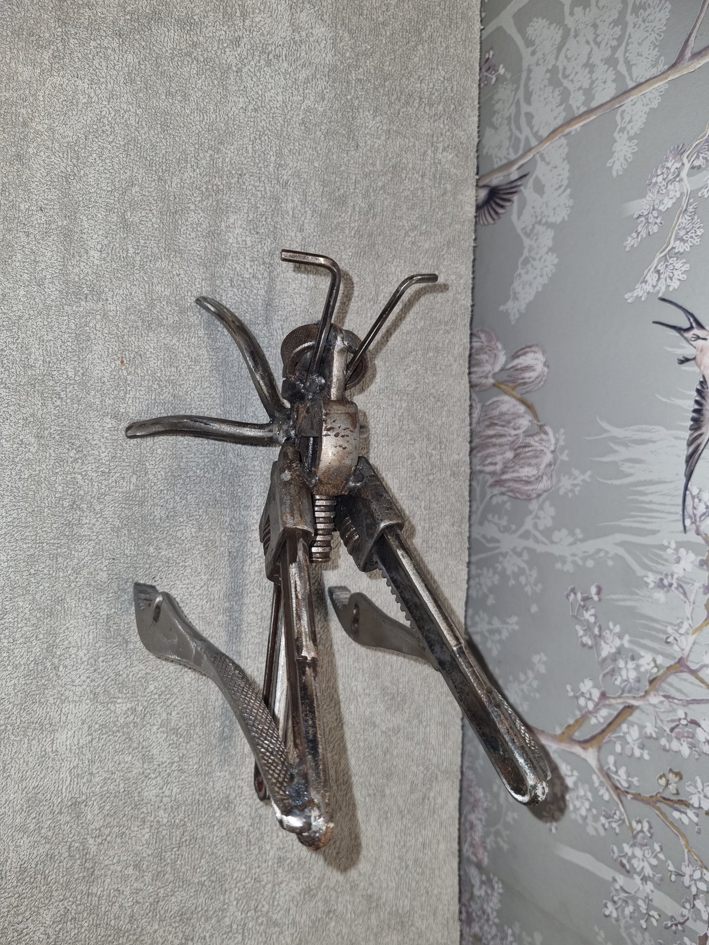 Medium Grasshopper