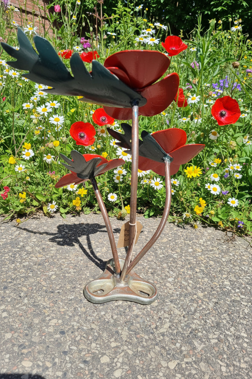 poppies