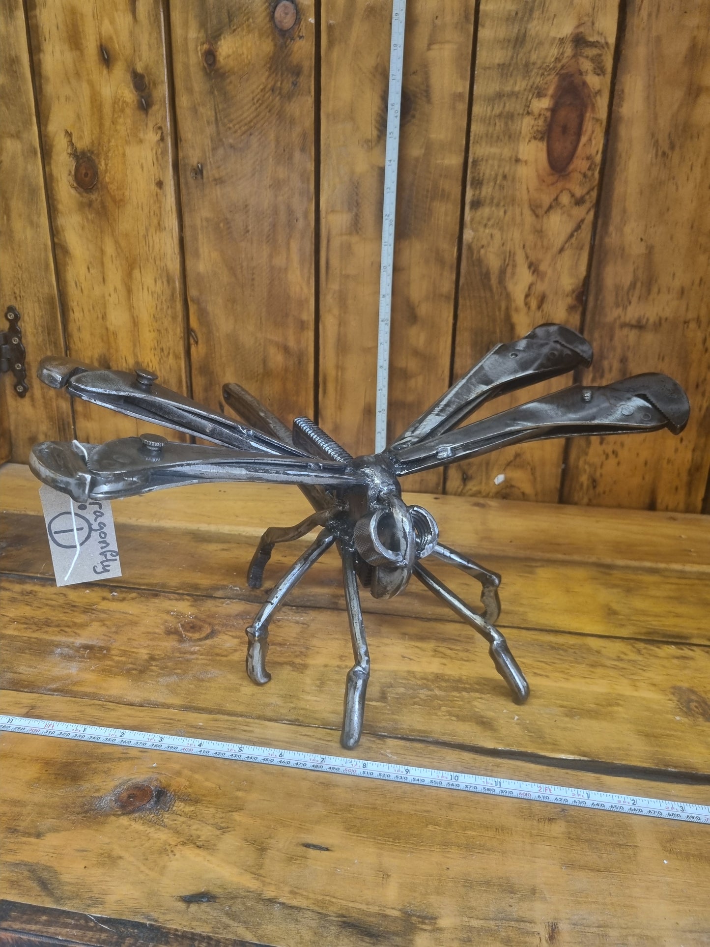 Dragonfly 1