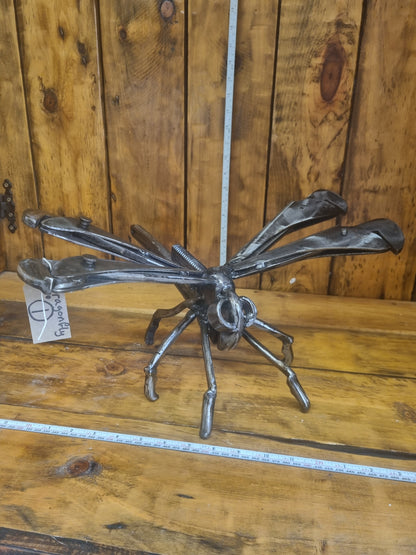 Dragonfly 1