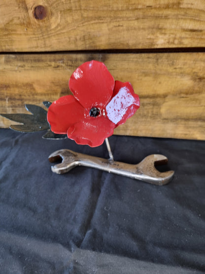 Single Small Poppy
