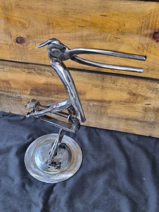 Small Quirky Bird