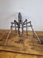 Mosquito