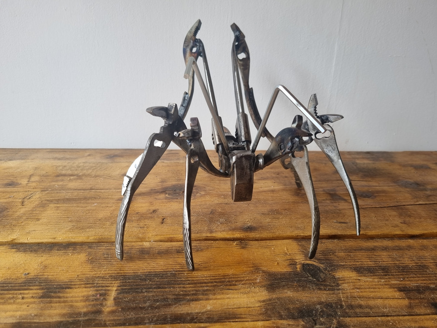 Spider Cricket