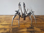 Spider Cricket