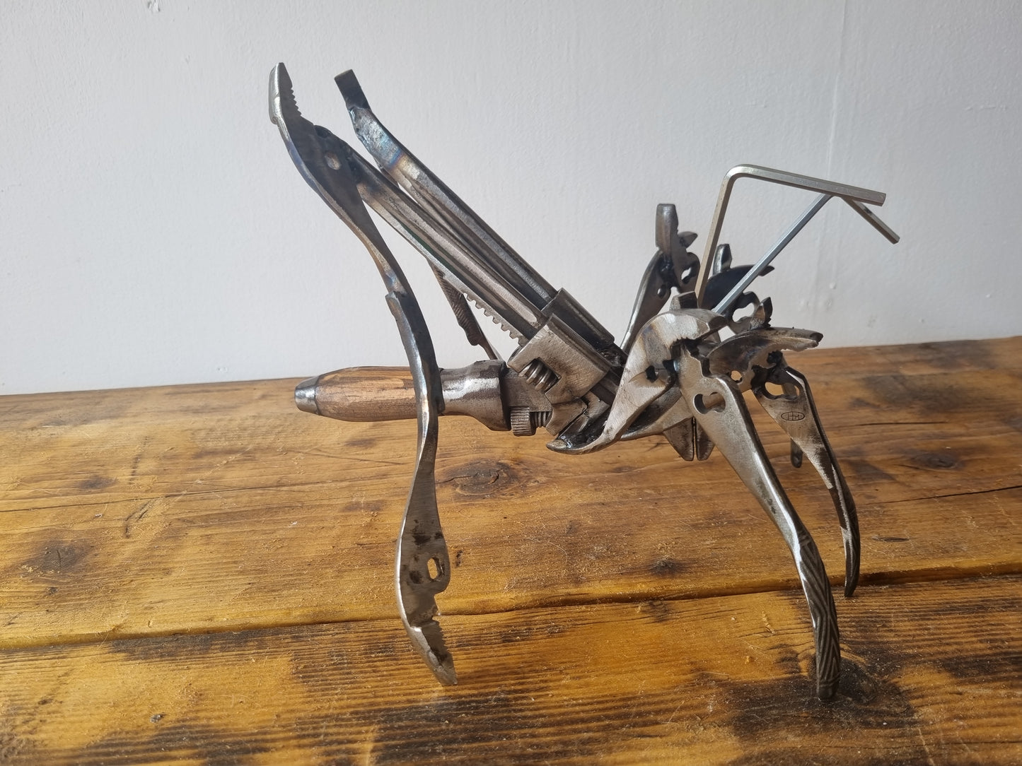 Spider Cricket