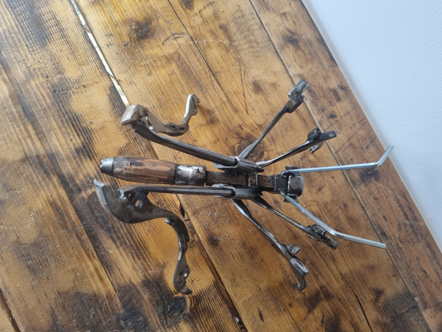 Spider Cricket