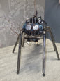 large fly