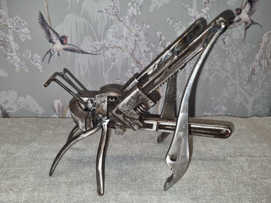 Medium Grasshopper