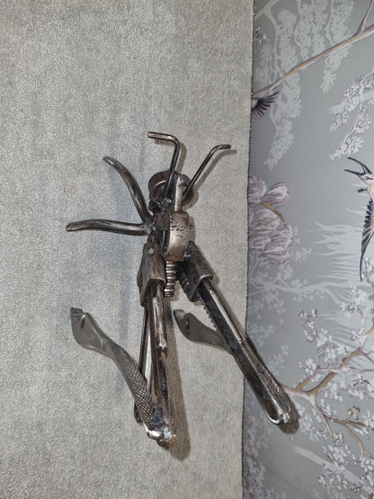 Medium Grasshopper