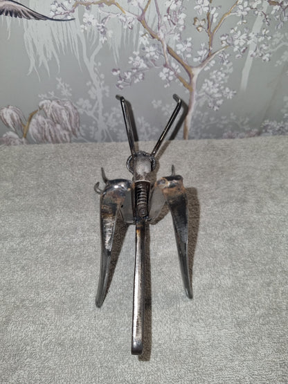 small grasshopper