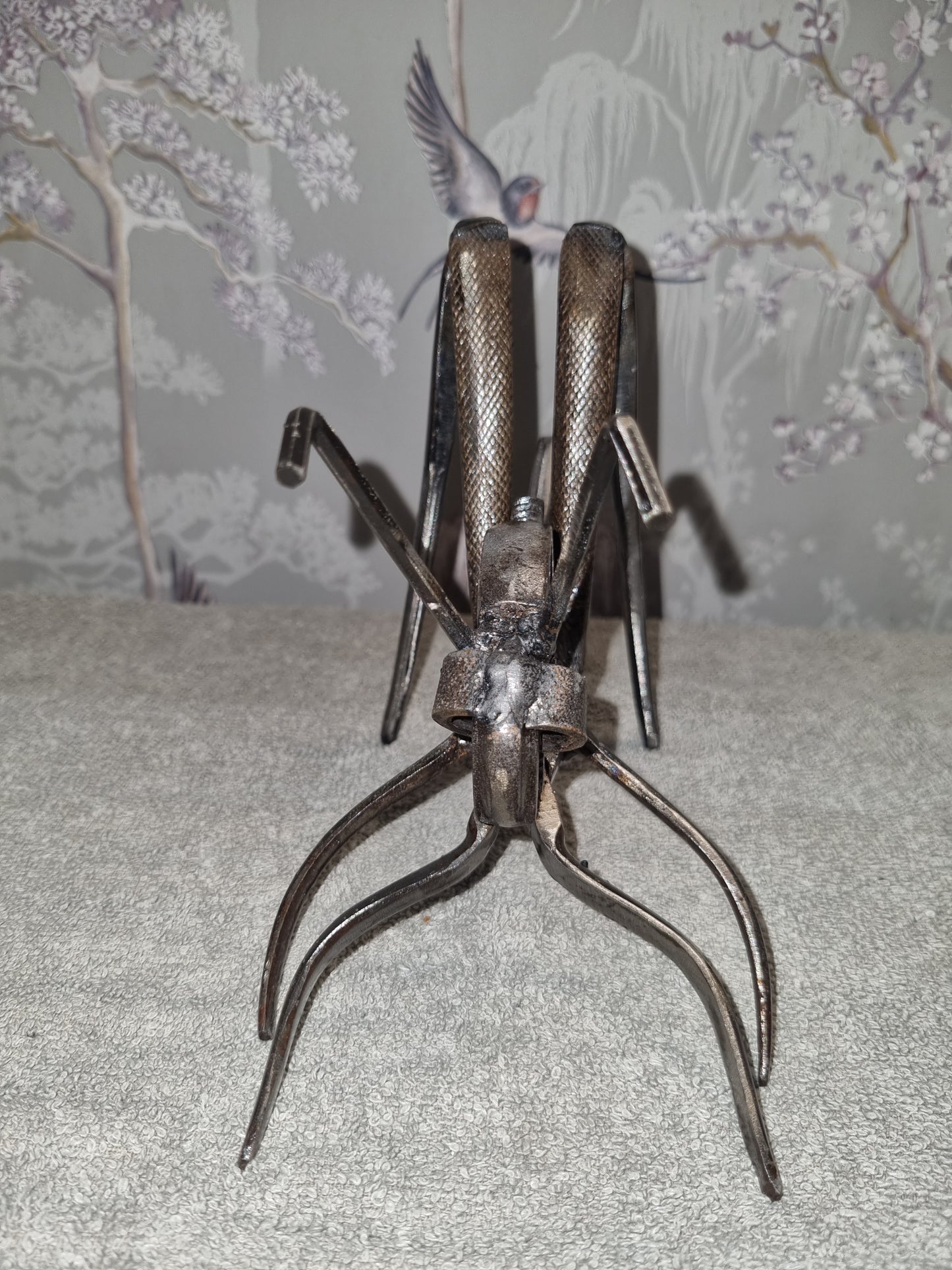 small grasshopper