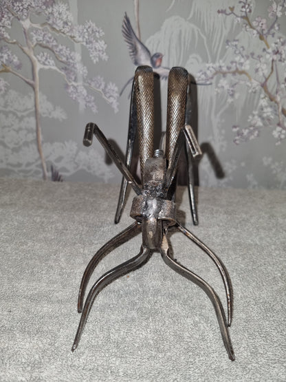 small grasshopper