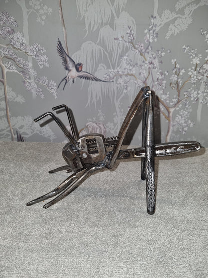 small grasshopper