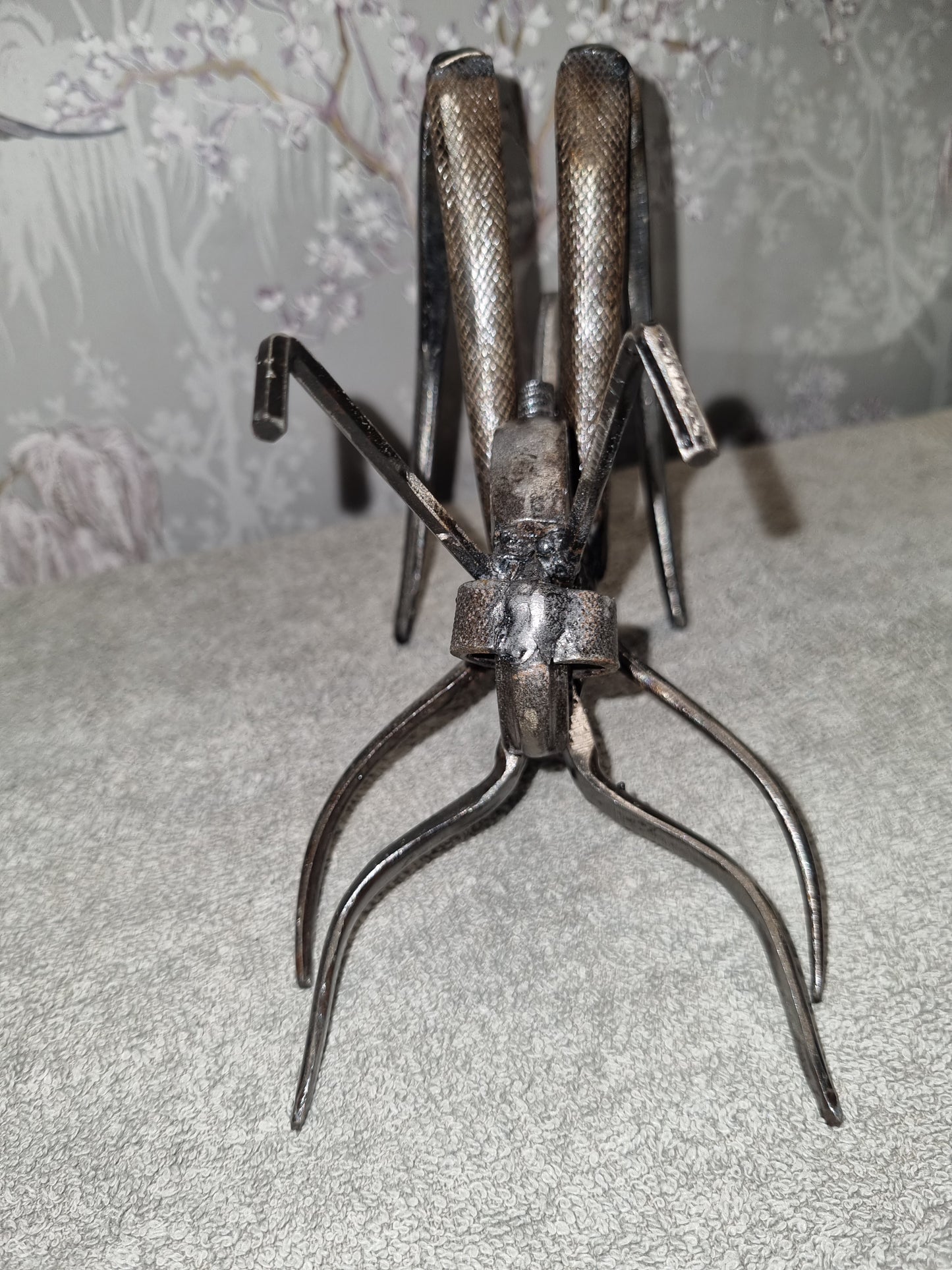 small grasshopper