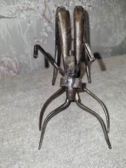 small grasshopper