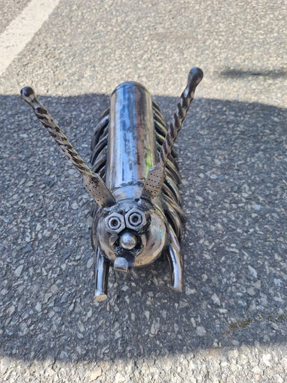 Nitro caterpillar 1
