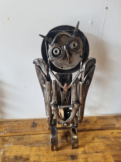 owl