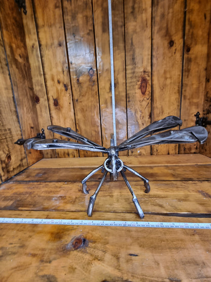 Dragonfly 1