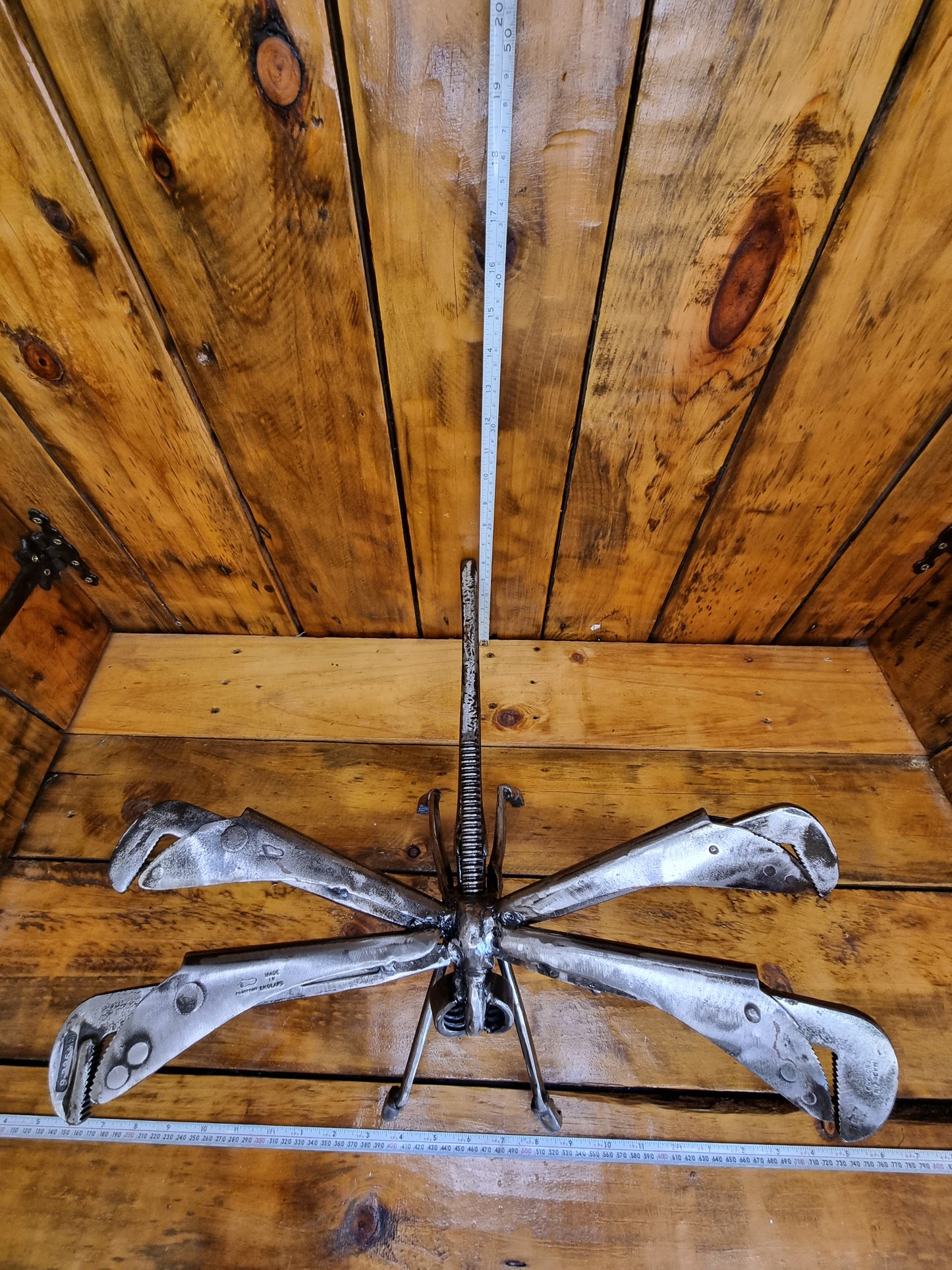 Dragonfly 1